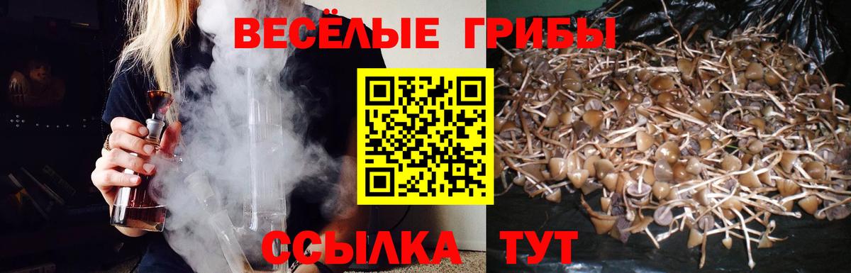 где продают   Галлюциногенные грибы мицелий  Вход с VPN  Назарово 